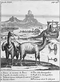 Moulin à minerai (Pérou, gravure de 1732)