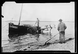 Pêcheurs de goémon dans la baie de Douarnenez, photographiés par Paul Gruyer en 1900-1902