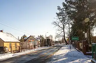 Pęchery