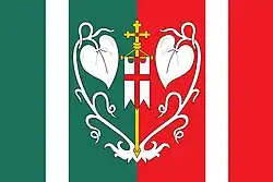 Drapeau de Pěčín