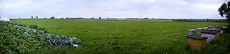 Płoskinia-Kolonia