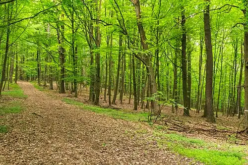 Zone naturelle protégée de Žernov.
