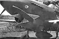 Un Curtiss P-40 Warhawk du 29e&nbsp;escadron de chasse sur la base de l’armée de terre de Madden en mai 1942.