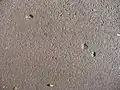 22 Linnaeusstraat, dix ans après l'assassinat, des impacts de balles sont encore visibles sur la piste cyclable.
