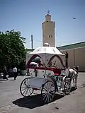 Koutchi dans la Médina