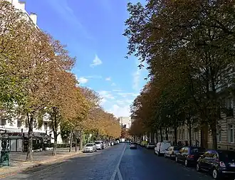 Voir la photo.