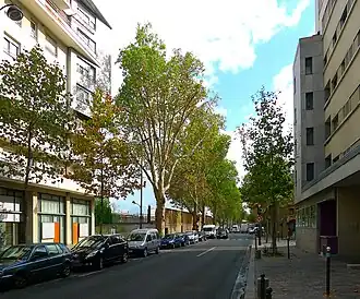 Voir la photo.