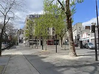Voir la photo.