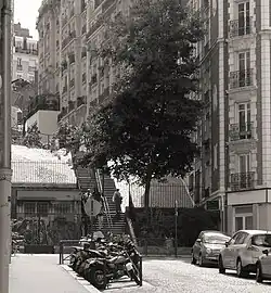 Escalier montant de la rue du Mont-Cenis vers la rue Saint-Vincent.