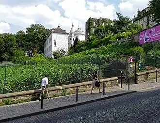 … et la vigne de Montmartre.