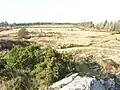 Domaine de Menez Meur ː le paysage de landes vu depuis le sommet du Roc'h Glaz.