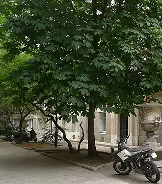 Voir la photo.