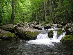 Lazovsky Zapovednik