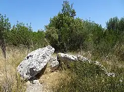 Image illustrative de l’article Dolmens de la Lauze