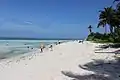 La plage de Latamburu