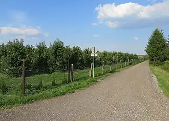 Parcele Jeżewice
