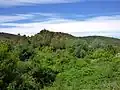 Carbasí