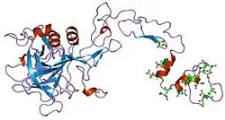Description de l'image PDB_1pfx_EBI.jpg.