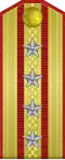 Patte d'épaule dorée, bordée de rouge et traversé de deux rayures verticales rouges, le tout chargé de cinq étoiles d'argent