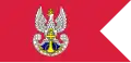 Drapeau de la marine militaire