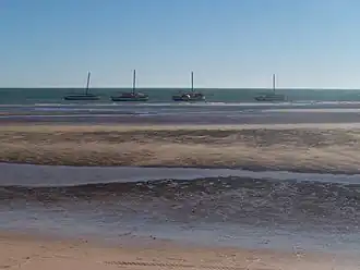 le Parc national du banc d'Arguin