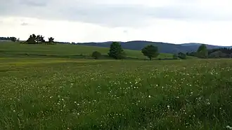 Tarentaise (Loire)