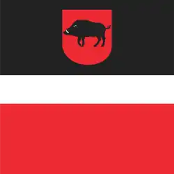 Drapeau de Łęczna