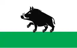 Drapeau de Łobżenica