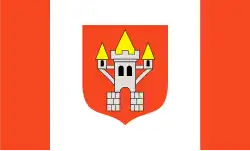 Drapeau de Śrem