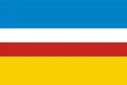 Drapeau de Żory