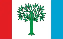 Drapeau de Braniewo