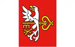 Drapeau de Budzyń