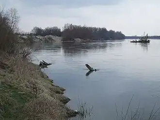 Łomianki Dolne