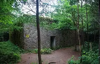 Mamerki