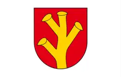 Drapeau de Rychwał