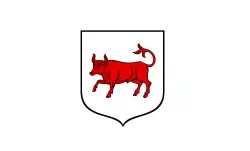 Drapeau de Turek