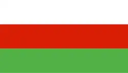 Drapeau de Wieleń