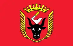 Drapeau de Wiskitki