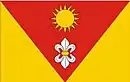 Drapeau de Dydnia