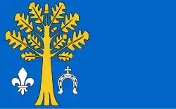 Drapeau de Kluki