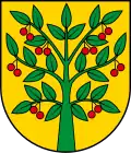 Blason de Gmina Wiśniew