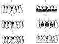 Motifs de modifications dentaires