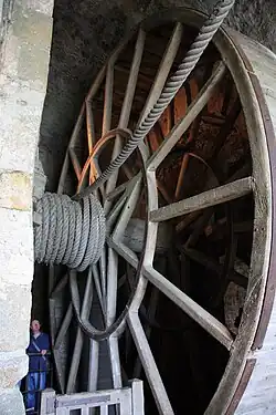 Cage à écureuil.