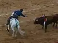 Pablo Hermoso de Mendoza à Arles
