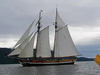 illustration de Pacific Swift
