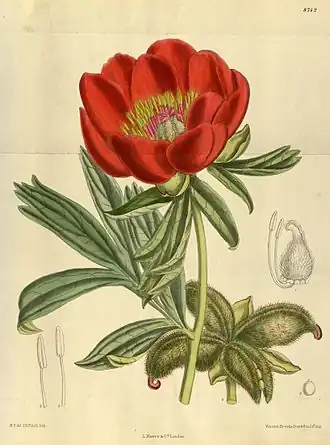 Description de cette image, également commentée ci-après