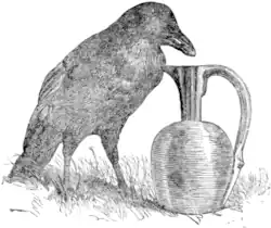 Gravure du 19e siècle représentant un oiseau noir mettant avec son bec un caillou dans une cruche.