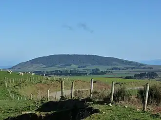 Pahia