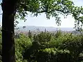 Vue du centre historique de Florence à partir du belvédère