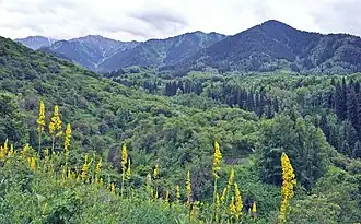 District de Talgar